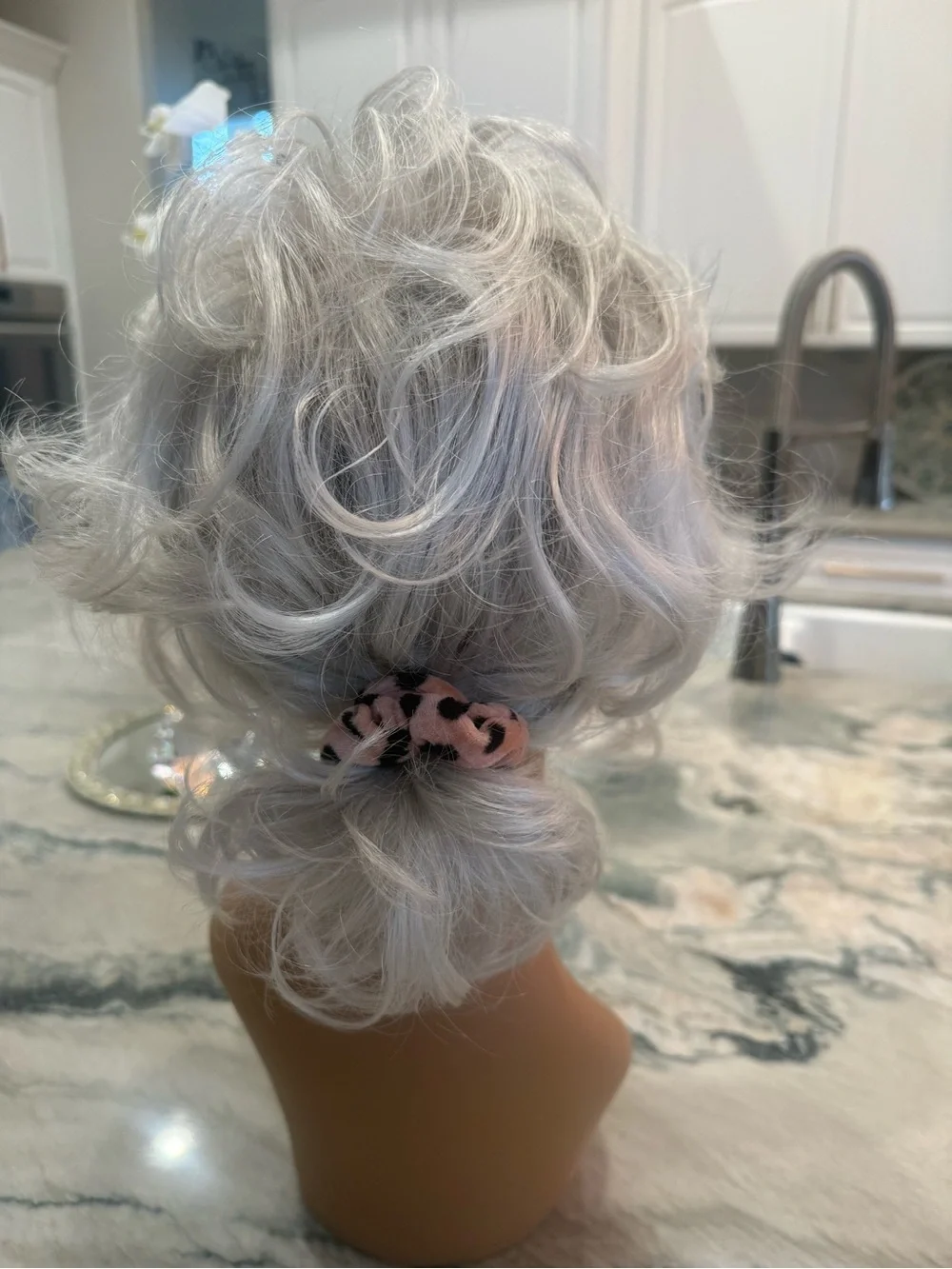 Paula Young Wig 